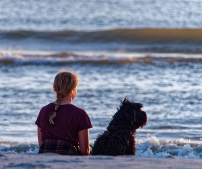 女孩和狗坐在海边看海